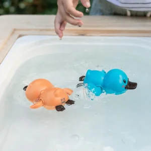 Bath Duck Racers